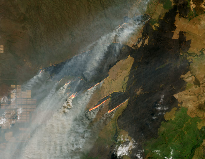 Incendies Amazonie Incendies Amazonie