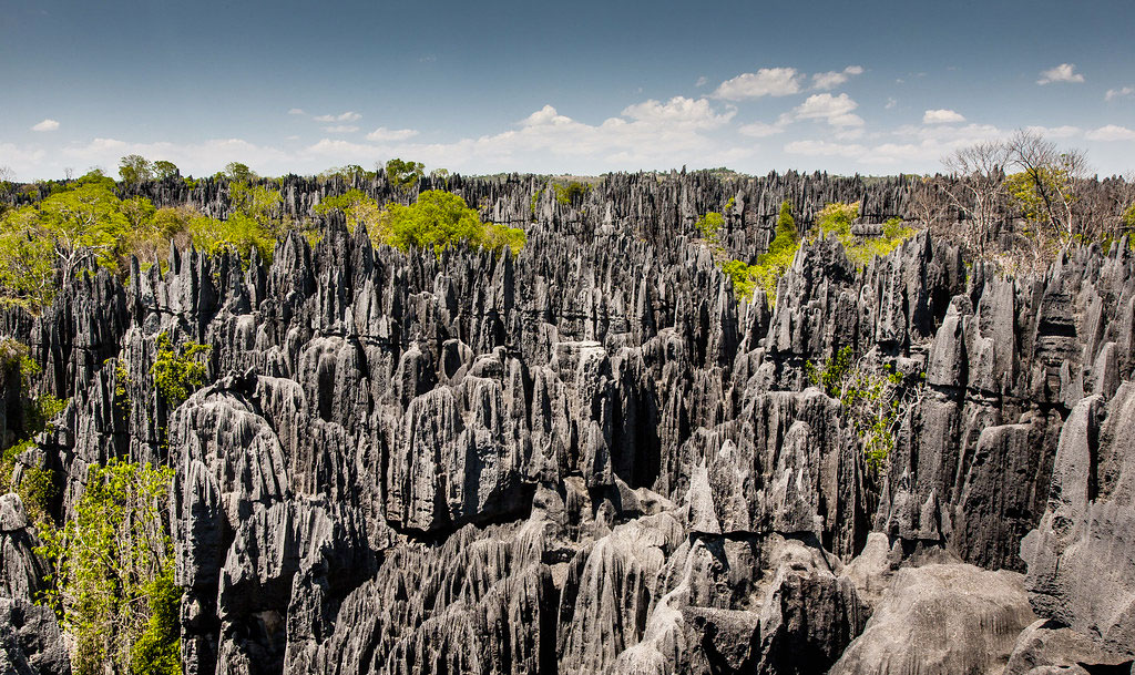 Les Tsingy De Madagascar Des Cath Drales De Calcaire L Odyss E De