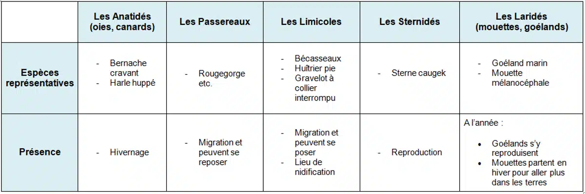 Tableau recensant les différentes espèces dans le bassin d'Arcachon.
