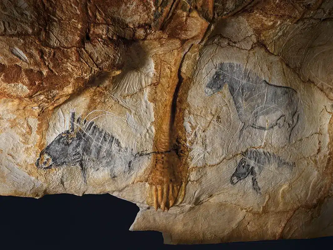 Découverte des peintures rupestres de chevaux dans la grotte Cosquer, Calanques de Marseille, un site préhistorique remarquable