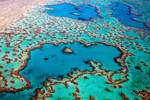 Grande Barrière de Corail, Australie