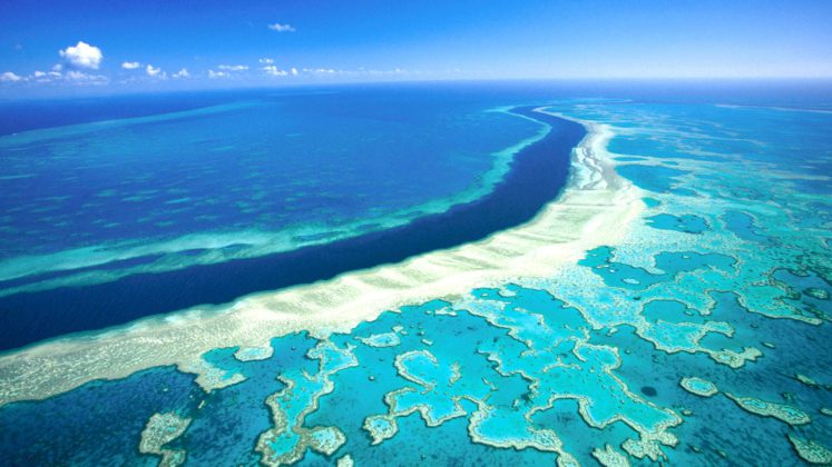 La Grande Barrière de corail - Australie