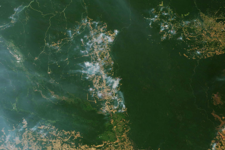 Incendies au Brésil 2019