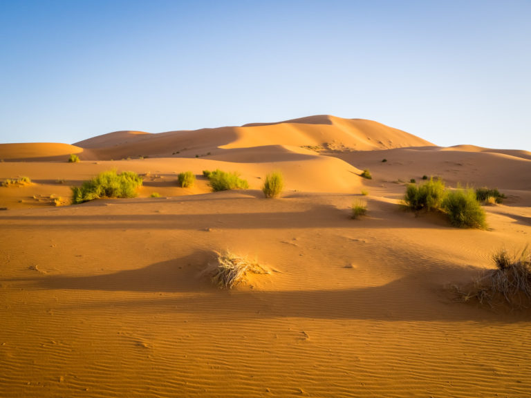 Désert du Sahara sous le soleil.