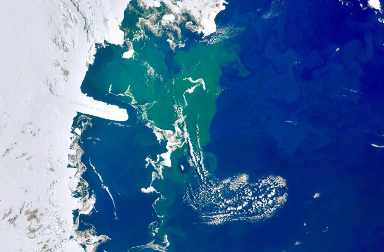 Image satellite montrant une vaste zone verte de phytoplancton depuis l’espace près de l’Antarctique.