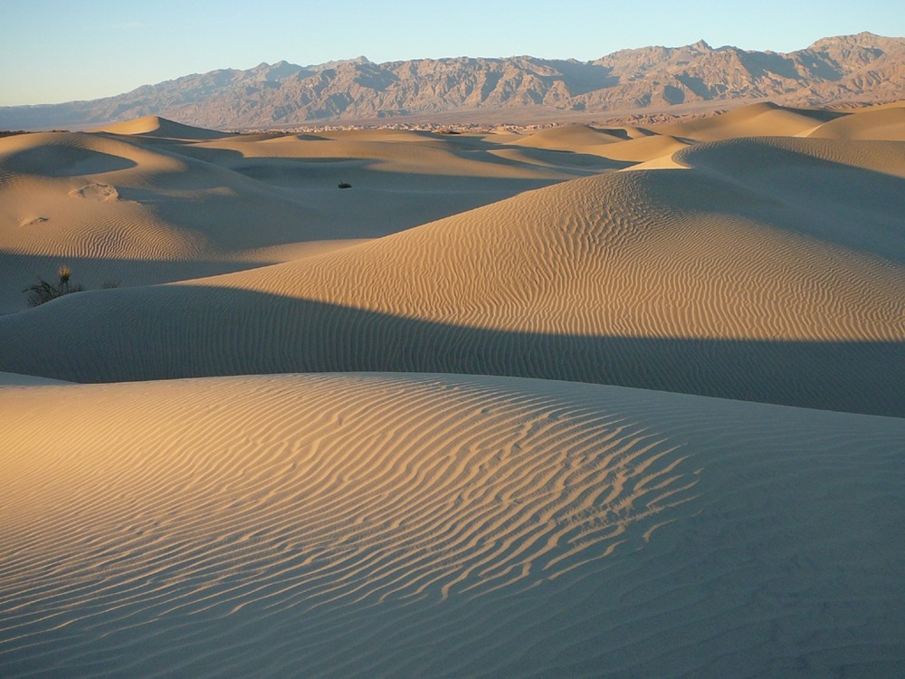 Lumière de fin d’apres-midi sur les dunes de sable de Mesquite Flat dans la vallee de la mort