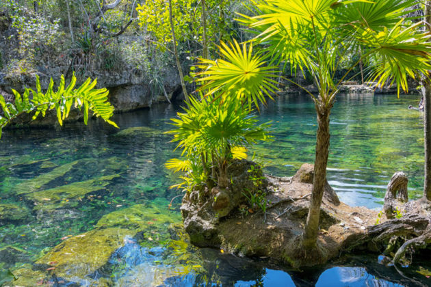 cenote azul yucatan