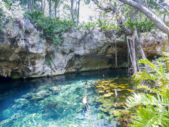 gran cenote yucatan