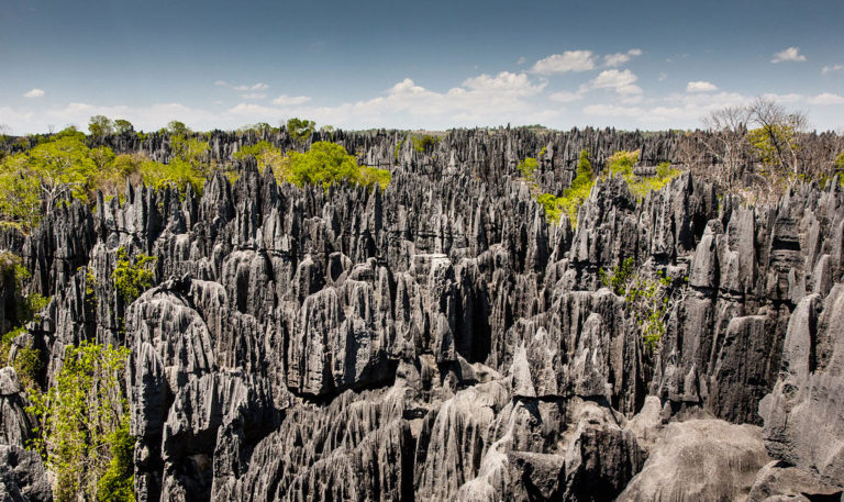 Les Tsingy de Bemaraha forment un paysage de pointes rocheuses a perte de vue