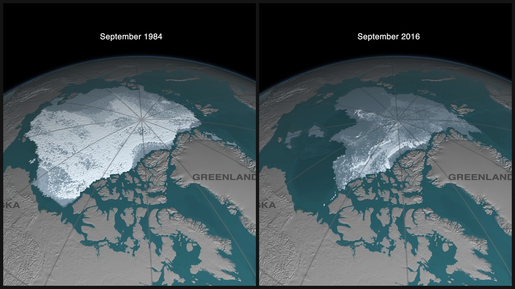 Les images satellites prises par la NASA montrent le net recul de la banquise arctique entre 1984 et 2016.