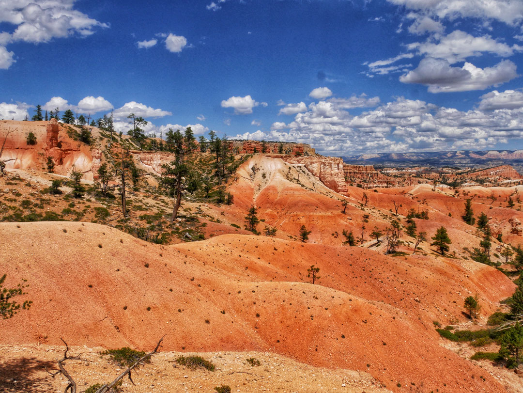 Vue sur le plateau érodé rouge de Bryce Canyon.