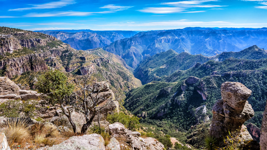 Panorama sur Copper Canyon au Mexique depuis un promontoire rocheux.