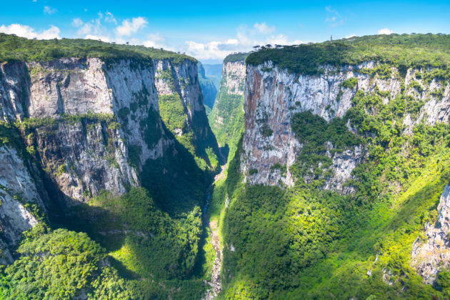 Vue sur le canyon verdoyant d’Itaimbezinho au Brésil.