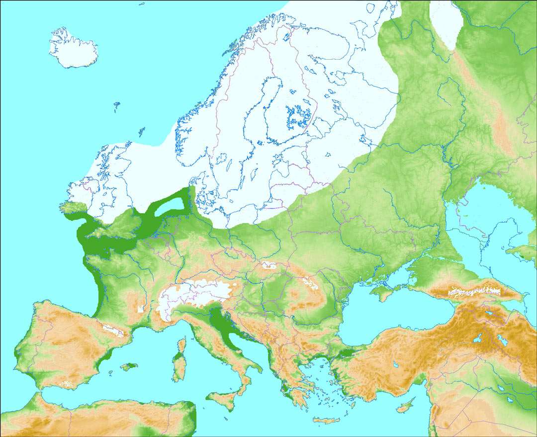 Carte de l'Europe pendant la dernière glaciation.