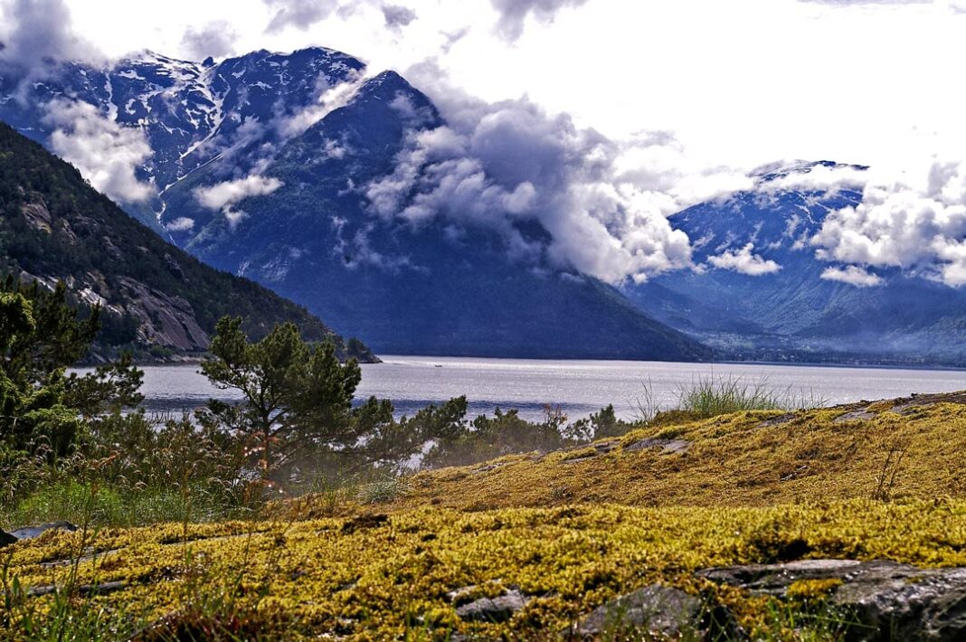 Qu'est-ce qu'un fjord ? | L'Odyssée de la Terre