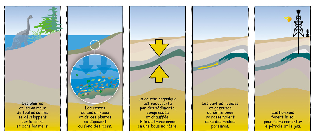 Les origines du pétrole et du gaz présentées en cinq illustrations.
