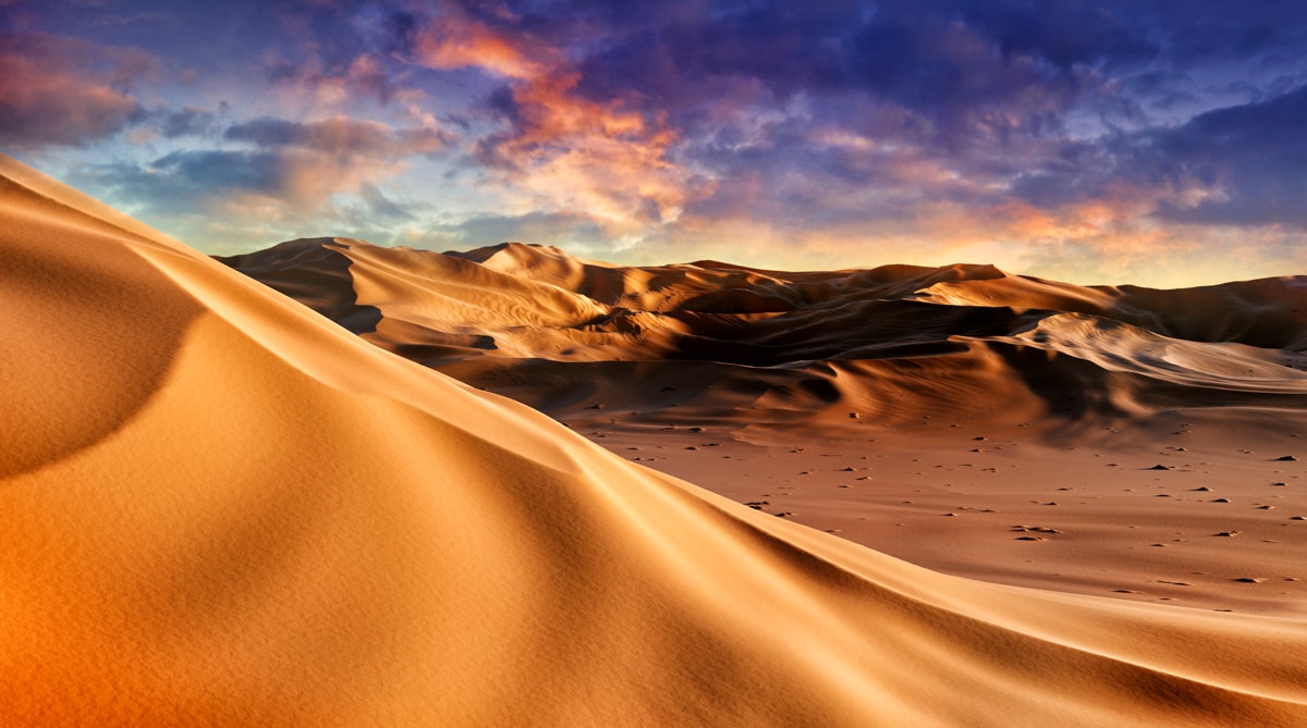 Vue sur les dunes ombragées du désert du Sahara.