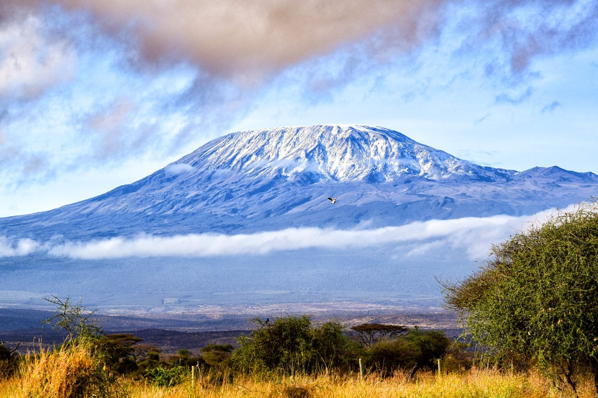 Le mont Kilimandjaro enneigé au milieu de la savane.