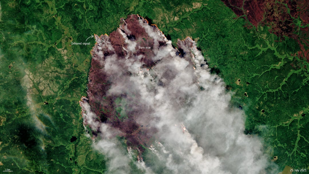 Image satellite montrant des feux de forêt en Sibérie.