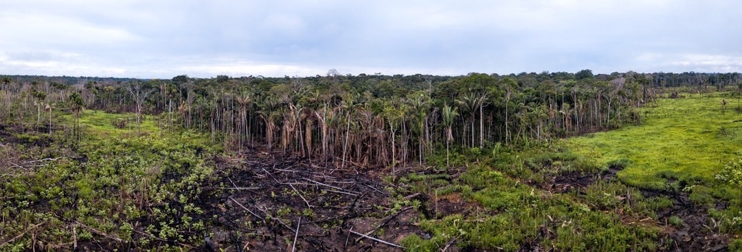Vue aérienne panoramique montrant des zones brûlées dans la forêt amazonienne.