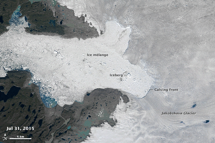 Animation du retrait du glacier Jakobshavn au Groenland.