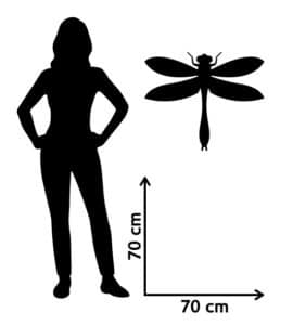 Comparaison de la taille entre un humain et une libellule au Carbonifère.