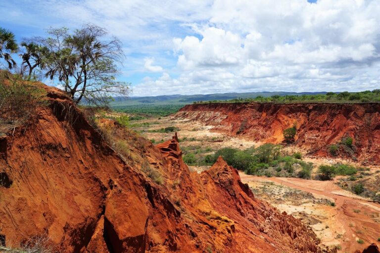 L’île de Madagascar : Sanctuaire d’une Biodiversité Menacée