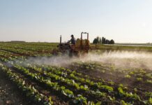 Les Pesticides en France : une Dépendance Persistante Malgré les Alertes Un homme sur un tracteur pulvérisant un insecticide sur un champ.