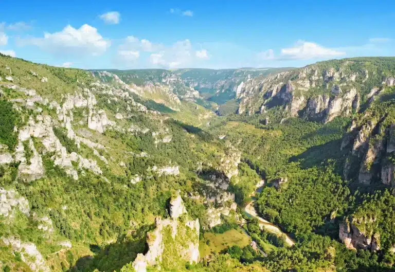 Les gorges du Tarn