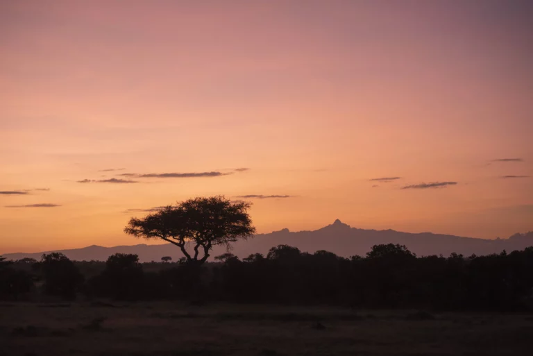 Un acacia devant le mont Kenya lever du soleil.