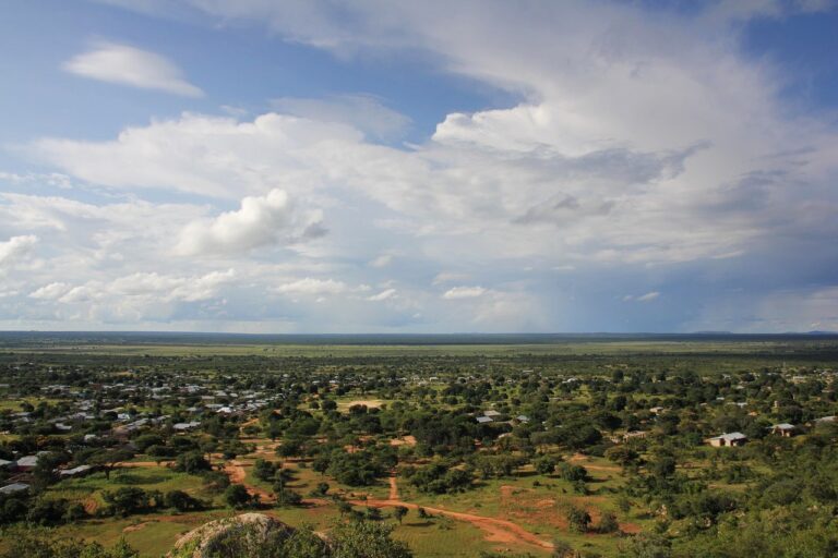 La Grande Muraille Verte : Restaurer Les Terres du Sahel Face à La Désertification
