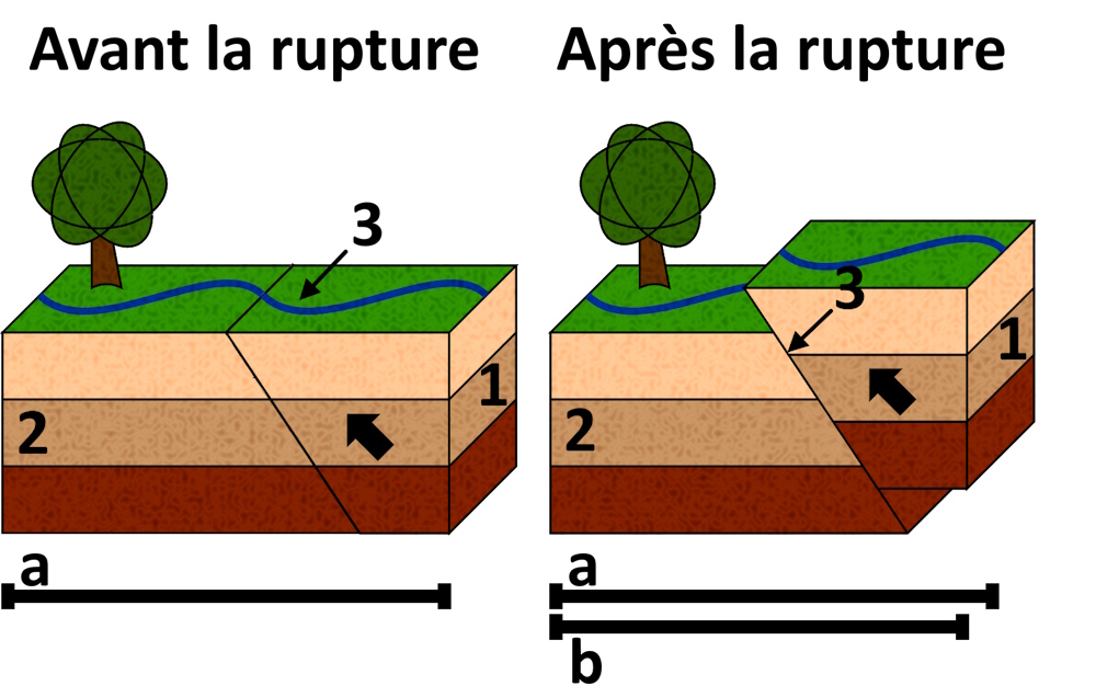 Schéma d'une rupture sismique en faille inverse.